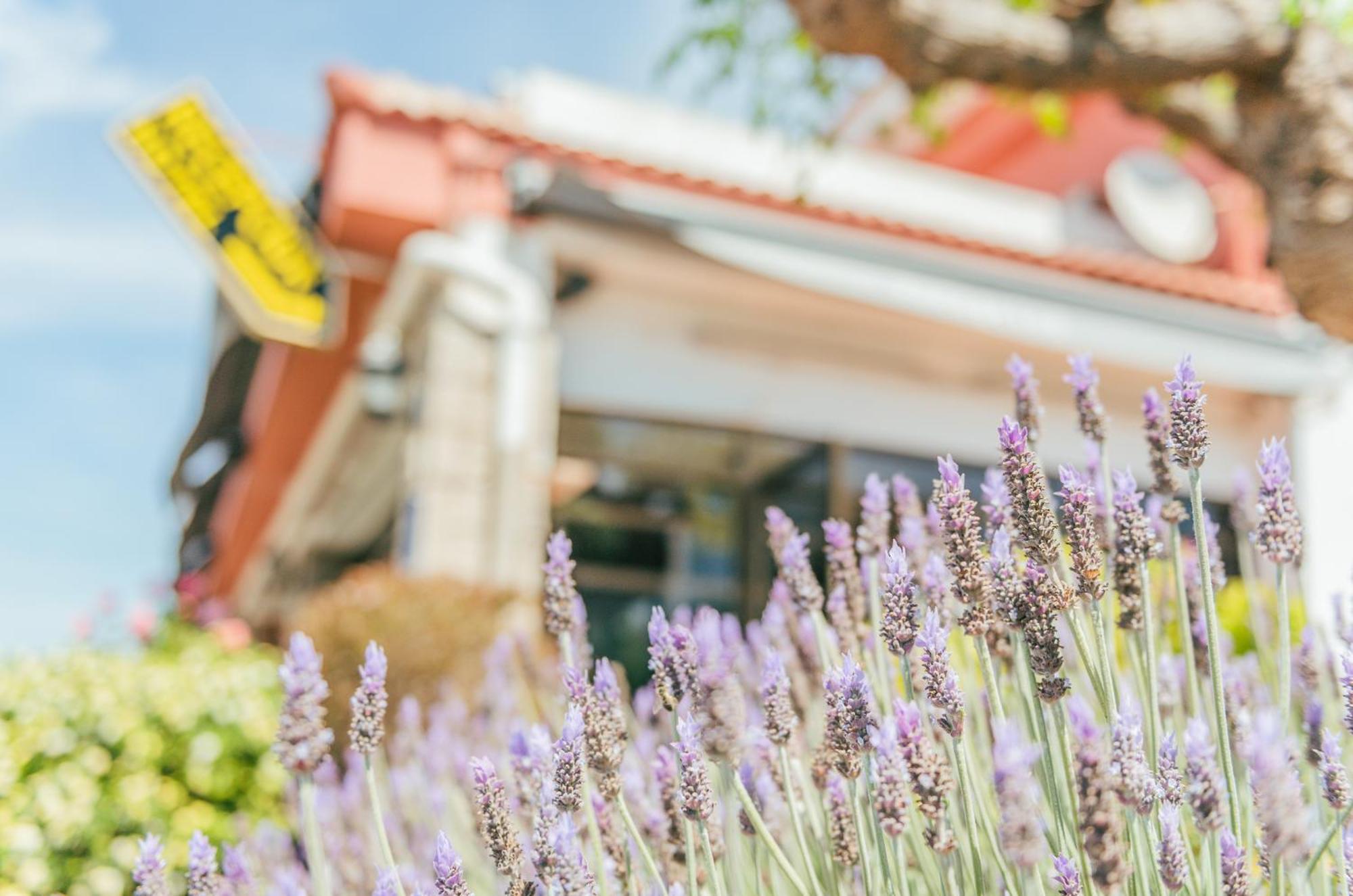 Hotel Duc De Vendome Vinarós エクステリア 写真
